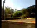 la palmera