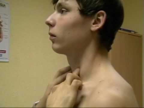 YouTube Трейлер