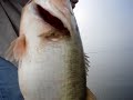 15 Lbs Bass on Sugar Lake Mexico