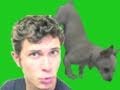 CuteWinFail, Ep. 39: Grudge Puppy
