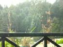 Weeds Weeds