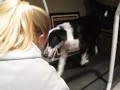 Jake on the Treadmill