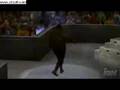 WWE Smackdown vs. Raw 2009 Playstation 3 - Big Daddy V