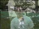 O-Zone - Dragostea Din Tei(Millburn Video)