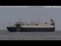 栗林商船 RORO船「神明丸」 東京港入港 [2011年10月15日]