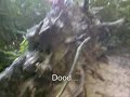 Natuurfragmenten van Bloemendaal en Overveen