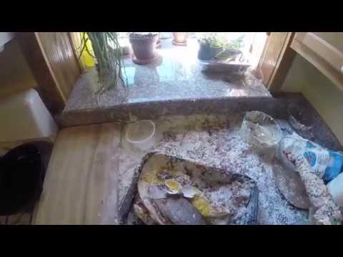 Vidéo 1