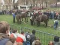 Javni pokusi u Zagrebu - Hrvoje Mesi? Javni pokusi u Zagrebu - Hrvoje Mesi?
