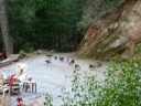 Turkeys Visiting Rivendell Turkeys Visiting Rivendell