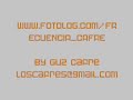 LOS CAFRES - LOCO (OFICIAL) ROOTS REGGAE - FRECUENCIA CAFRE