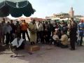 Encantadores de Serpientes.avi