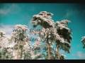videos de de les van de bomen