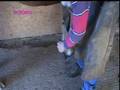 The First Shoeing