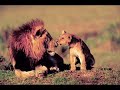 Ecologie : clip rythm� par mickey 3D