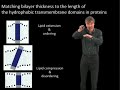 Kai Simons Part 1: T