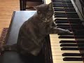 Le piano est-il bien accord� ?