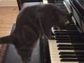 Le piano est-il bien accordé ?
