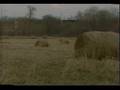 McLain Family Band - Kentucky Wind