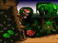 DKC Glitch: Rusty Rhino DKC Glitch: Rusty Rhino