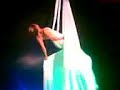 circo vox