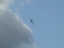RNHF Sea Hawk @ Farnborough 2008
