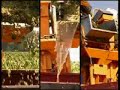 vrillons-extrait 02 vrillons-extrait 02