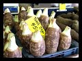 NOUVELLE CALEDONIE