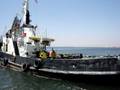 videos de Albatros.MPG