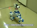 Robot Dog Japan