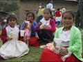 este es un hermozo villancioc al más puro estilo del huayno peruano, este videoclipde imagenes esta dedicadao a todos los hermanos peruanos que estan por todos los confines del mundo y llevarles un poco de alegria, y decirles que nunca se olviden de sus hermanos peruanos que  estan en nuestro país que los que quedan sobre todo los niños necesitan de su ayuda, recordemos las famosas chocolatadas, tanto en la capital como en provincias. un fuerte abrazo y cantar en la navidad como todo peruano con un huaynito.interpretes: familia rodriguezcancion: alla baja jesucristonota: tuve que tomar imagenes de algunos blogs entre ellos del misionero en huanuco isaac , o algo asi.