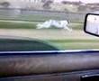 Greyhound