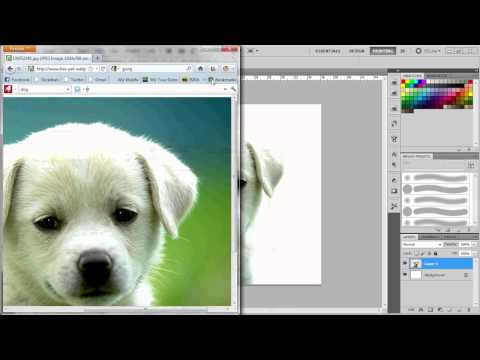 how to isolate image in photoshop cs5