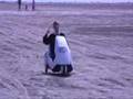Southport Visiter: Family takes a spin in a Sinclair C5
