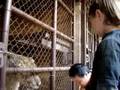 Dean at the Zoo 1