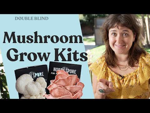 Mushroom Grow Kits 🍄| DoubleBlind
