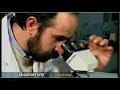 CAVANILLES INSTITUTE OF BIODIVERSITY AND EVOLUTIONARY BIOLOG CAVANILLES INSTITUTE OF BIODIVERSITY AND EVOLUTIONARY BIOLOG