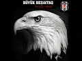 Porto-Be-ikta-Yavuz-