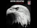Porto-Be�ikta� (Yavuz un minib�s� orjinal �LKER TAHS�N)