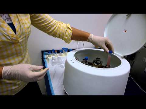 how to isolate exosomes