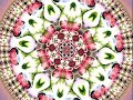 Mandalas Vision - Spread your Light