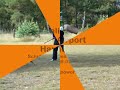 Zabó Airport Hannover mit 8 Monaten Training Schutzdienst