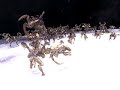 Spore Warhammer 40k Tyranid swarm testing