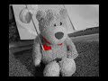 BPPB - The Breakpoint Party Bear