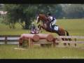 horses around the world1.wmv