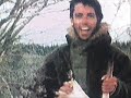Into the wild Into the wild