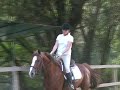 Saggio di Equitazione Saggio di Equitazione