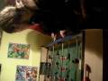 videos de le 29/11/08