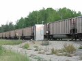 BNSF 8202 - (Coal Train)