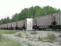 BNSF 8202 - (Coal Train)