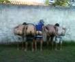 Feriado em Itaipuaçu TUDO NOSSO, BUNDALELÊ!